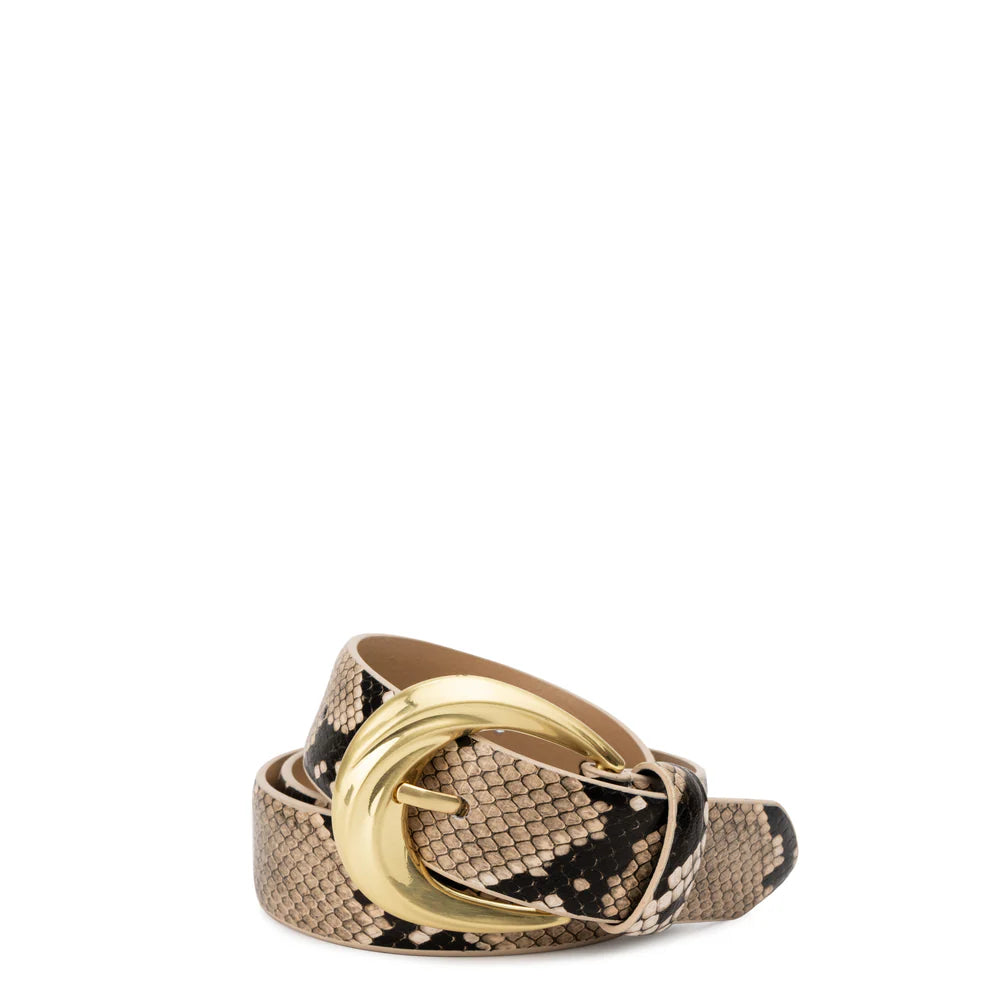 Antica Belt - Python