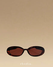 Abbey - Tortoiseshell