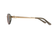 Style 01 Sunglasses - Brown