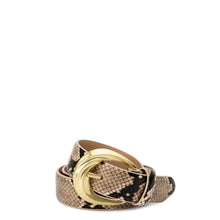 Antica Belt - Python