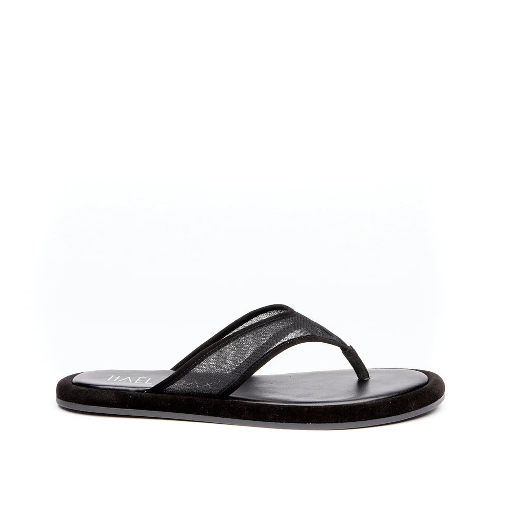 Midnight - Black