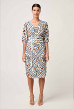 Theia Scallop Embroidered Dress