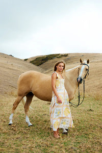 Strawbale - Dress