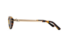 Style 01 Sunglasses - Tort